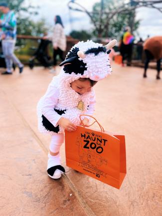 Child in a costume goes trick-or-treating at Haunt the Zoo