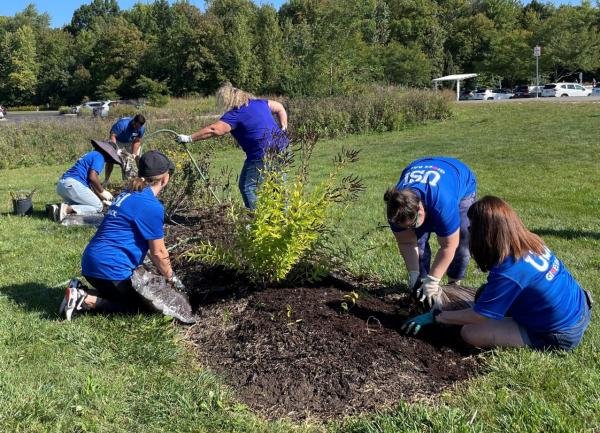 A group of people around a garden bed planting bushes.