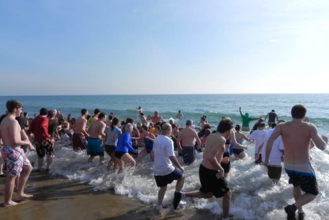 WARM Center Penguin Plunge