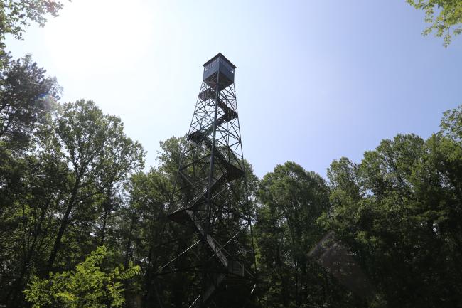 McCormick's Creek Firetower