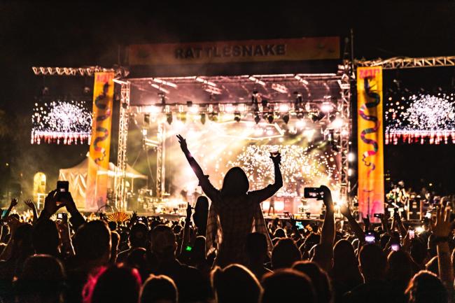 Crowd at McDowell Mountain Music Festival in Phoenix, AZ