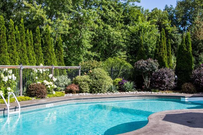 a background of trees with a pool in front of it