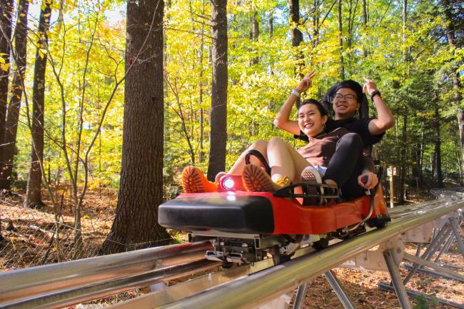 Gunstock Mountain Resort - Mountain Coaster (Fall Foliage) - Couple Riding Coaster with Yellow Leaves in Background