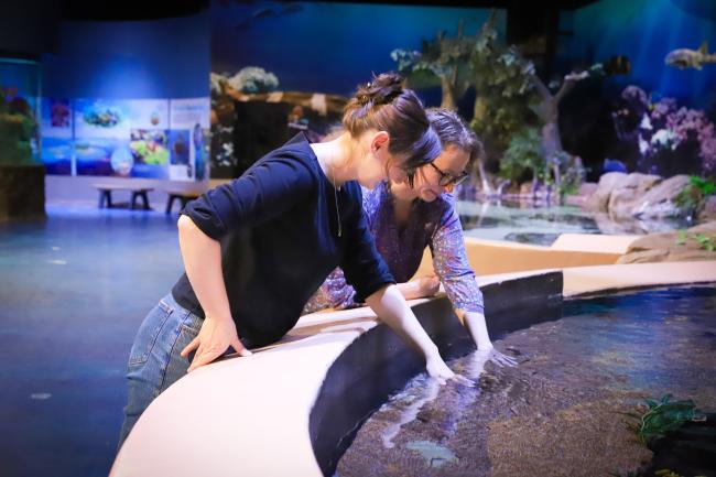 Lives Shores Aquarium - Nibble Fish Exhibit (Two Women Smiling With Hands Dipped in the Water)