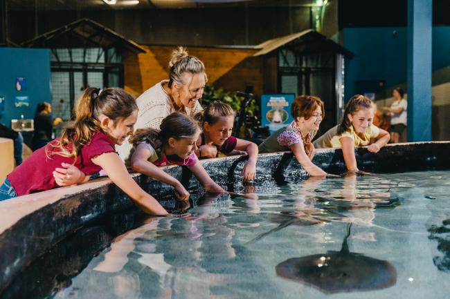 Living Shores Aquarium - Family Enjoying Stingrays in Touch Tank