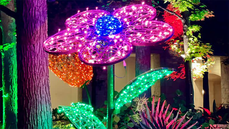 Light Up Flower Garden