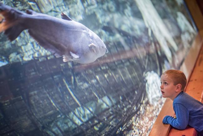 Cabela's kids fishing
