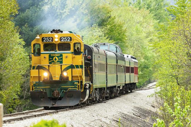 Conway Scenic Railroad - Train in Springtime Traveling on Tracks (Trees on Either Side)