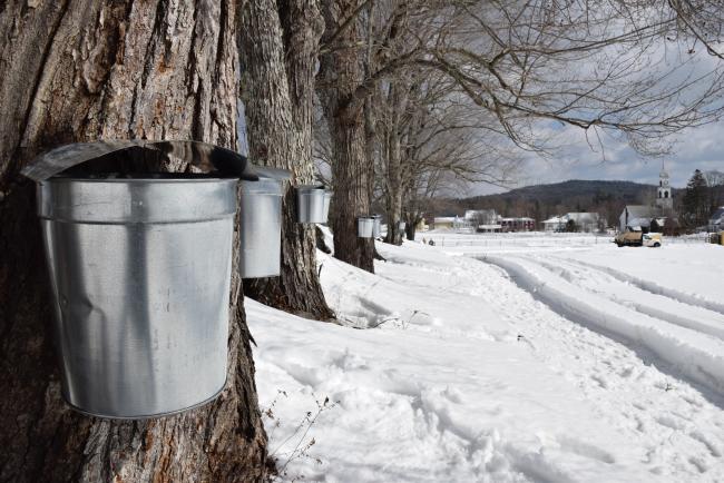 Remick Country Doctor Farm & Museum (Maple Syrup)