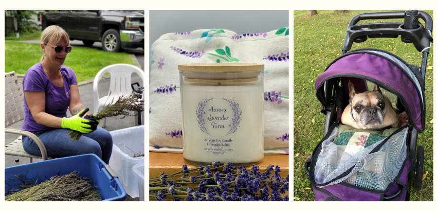 Aurora Lavender Farm Collage
