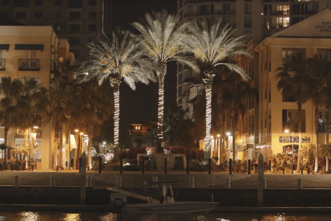 Nightlife