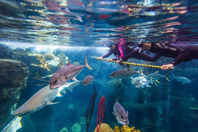 Tampa Bay Citypass Visit Tampa Bay