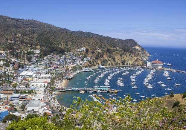 Press Releases Visit Catalina Island