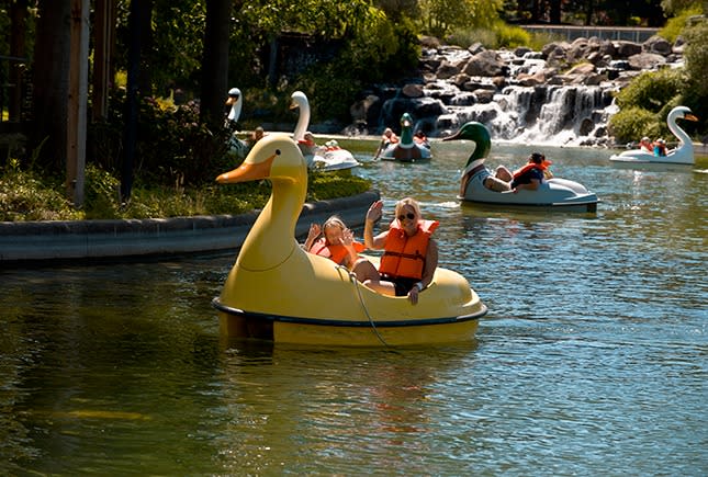 Duck and Swan Paddle Boats