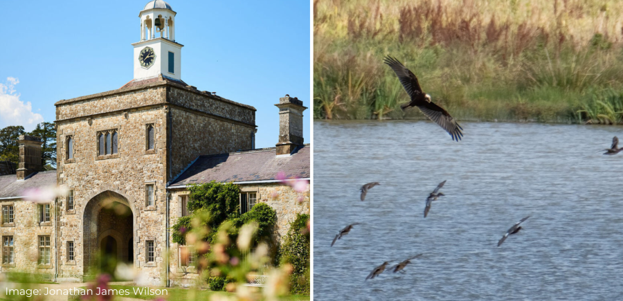 Parham House and Pulborough Brooks