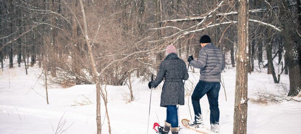 Posts In Bird Watching Experience Rochester Mn