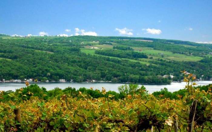 View from Keuka Lake Vineyards