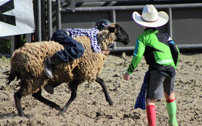 Reese Ranch Rodeo