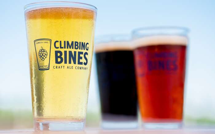 Climbing Bines