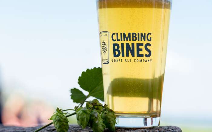 Climbing Bines
