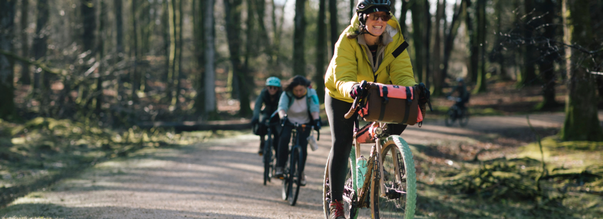 Group cycling along pathway in the New Forest
