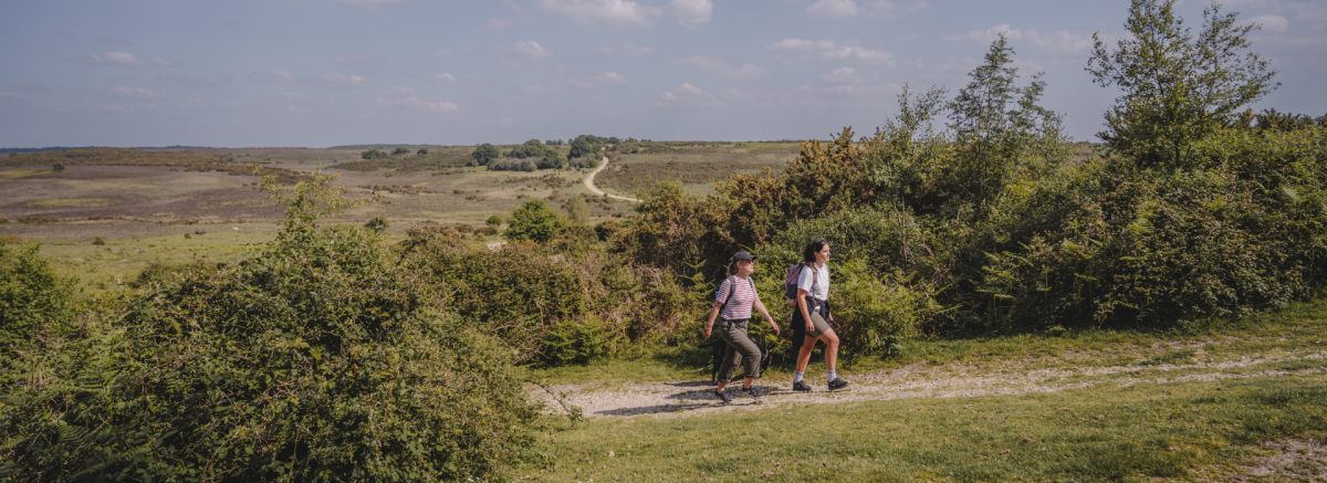 Two people walking uphill in the New Forest