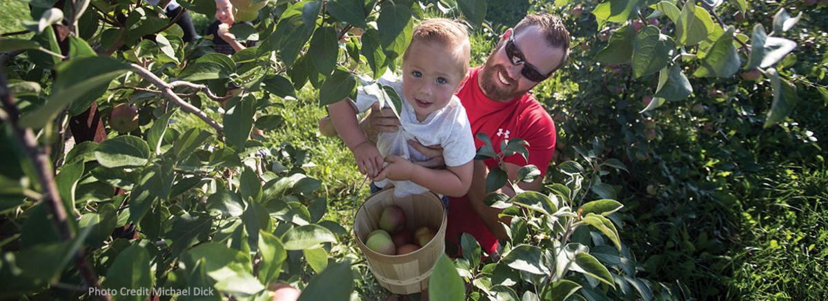 County Line Orchard - Hobart, Indiana