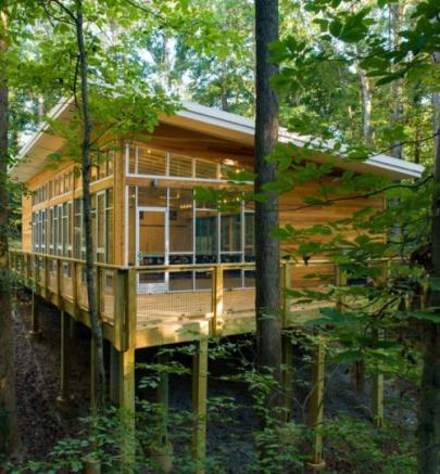 Dunwoody Nature Center Pavillion in Trees