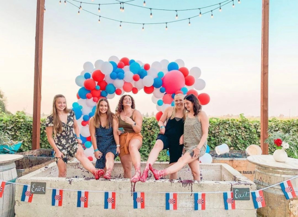 crush party ziveli winery