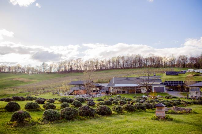 Beliveau Farm Winery - Blacksburg, VA