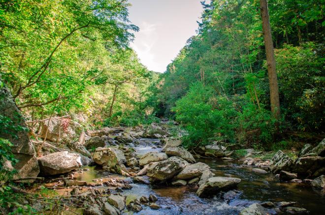 Bottom Creek Gorge - Virginia