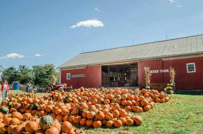 Jeter Farm Fall Festival