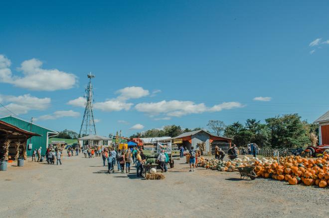 Jeter Farm Fall Festival - Botetourt County