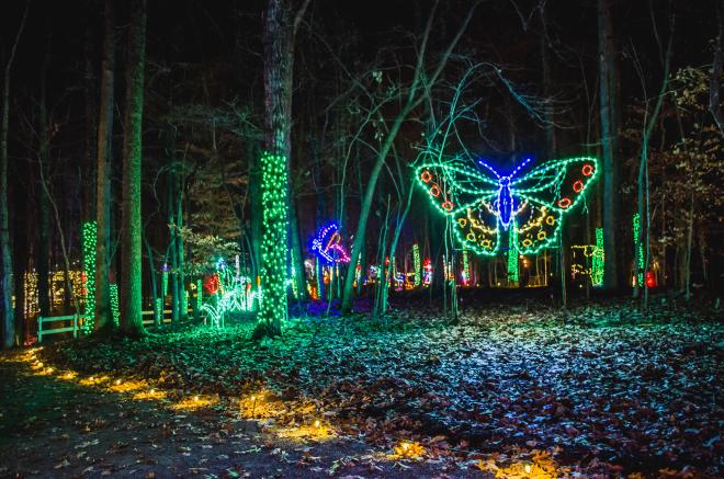 Illuminights Holiday Lights - Explore Park