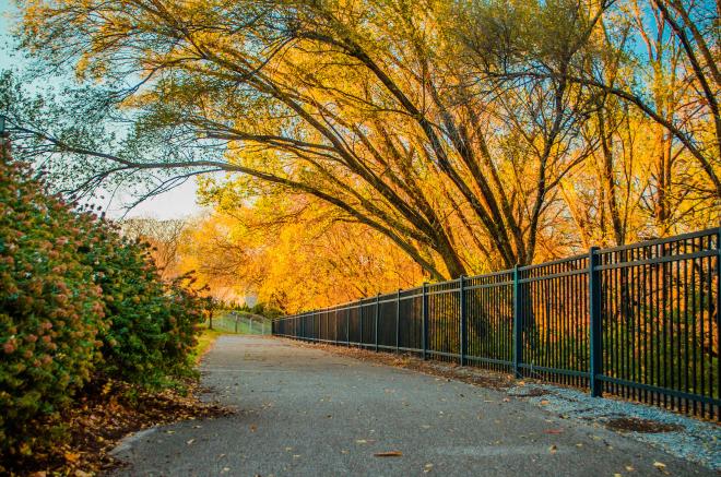 Fall Colors - Lick Run Greenway - Roanoke, Virginia