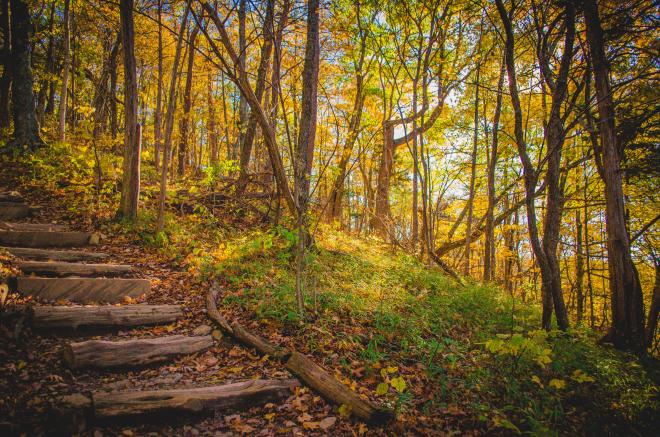Stairs - Tinker Cliffs Hiking - Appalachian Trail