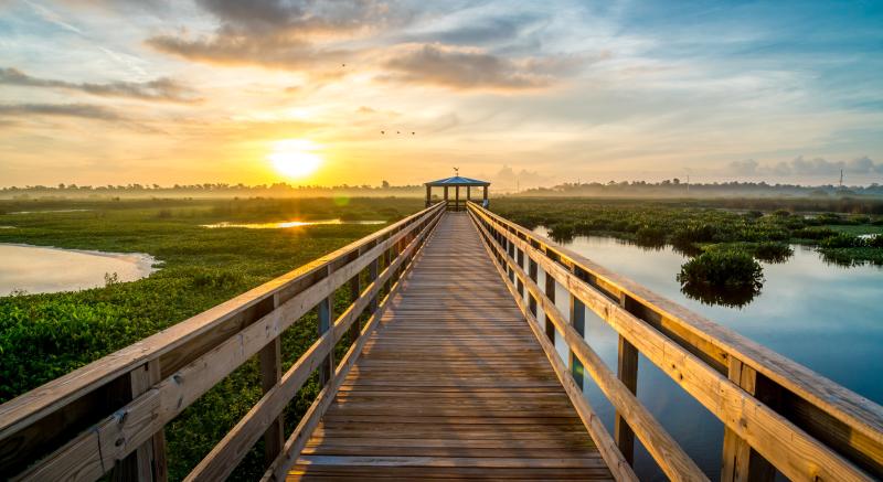 Cattail Marsh Boardwalk