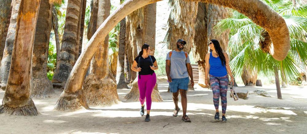 palm canyon hiking