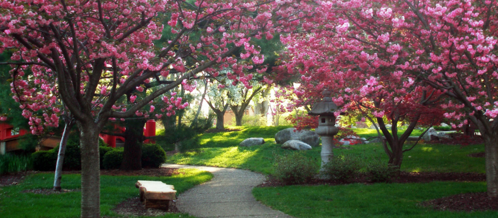 Shiojiri Niwa Japanese Gardens