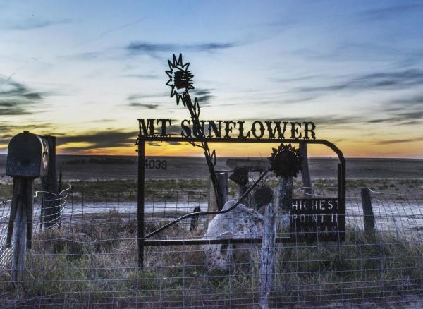Mount Sunflower