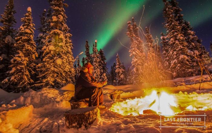 Last Frontier Mushing Co-Op | Northern Lights Tour