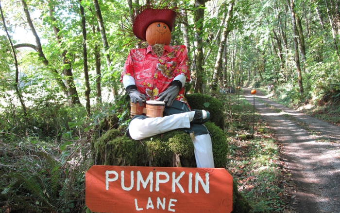 Pumpkin Lane