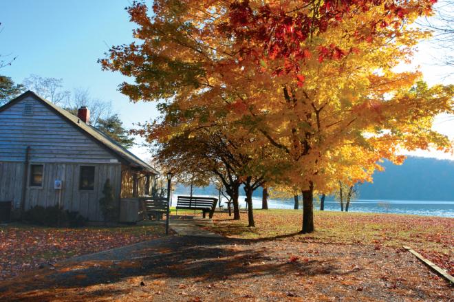 Claytor Lake State Park - Fall Foliage