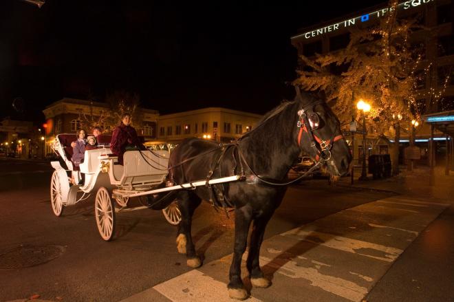 A family enjoying a carriage ride during Dickens of a Christmas in downtown Roanoke