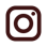 Instagram Icon Brown