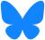 Bluesky Logo