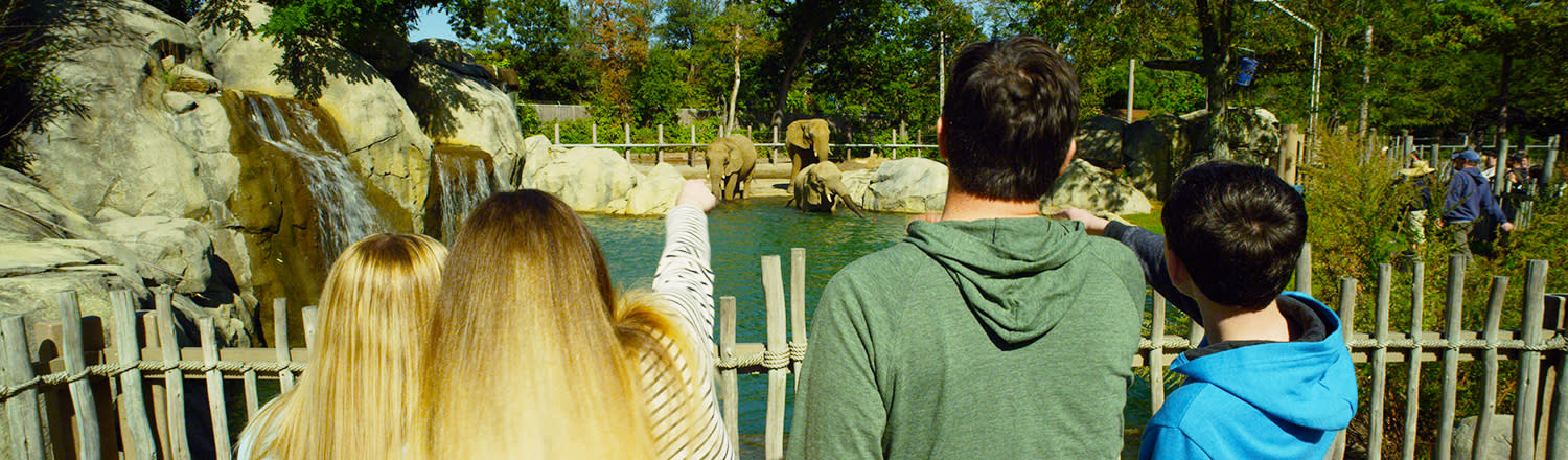 Family At The Roger Williams Park Zoo In Providence, RI