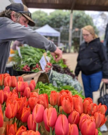 Tulips and produce for sale at the Athens Famers Market