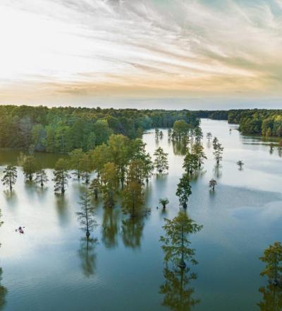 Trap Pond Aerial View