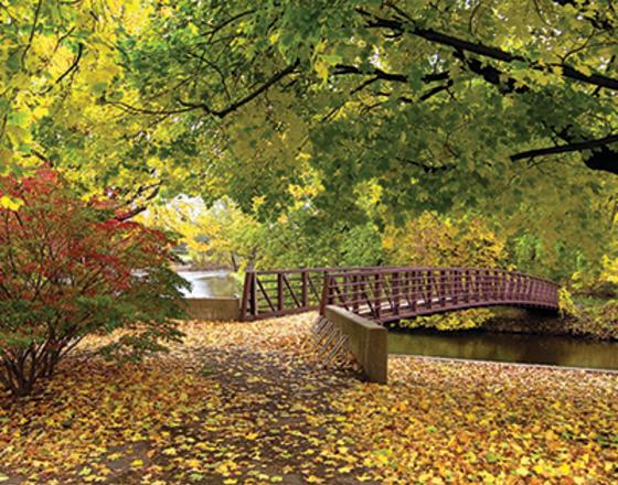 American Park Elkhart